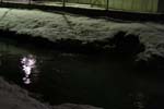 IMG_2785.jpg