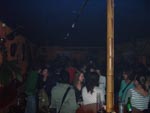 bambo_dez06_34.jpg
