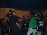 bamboo_okt06_40.jpg